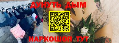 дживик Ачхой-Мартан