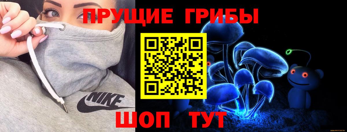 Галлюциногенные грибы прущие грибы  Вход с VPN  Псилоцибиновые грибы мицелий  Братск 